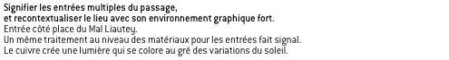 Signifier les entrées multiples du passage,
et recontextualiser le lieu avec son environnement graphique fort.
Entrée côté place du Mal Liautey.
Un même traitement au niveau des matériaux pour les entrées fait signal.
Le cuivre crée une lumière qui se colore au gré des variations du soleil.